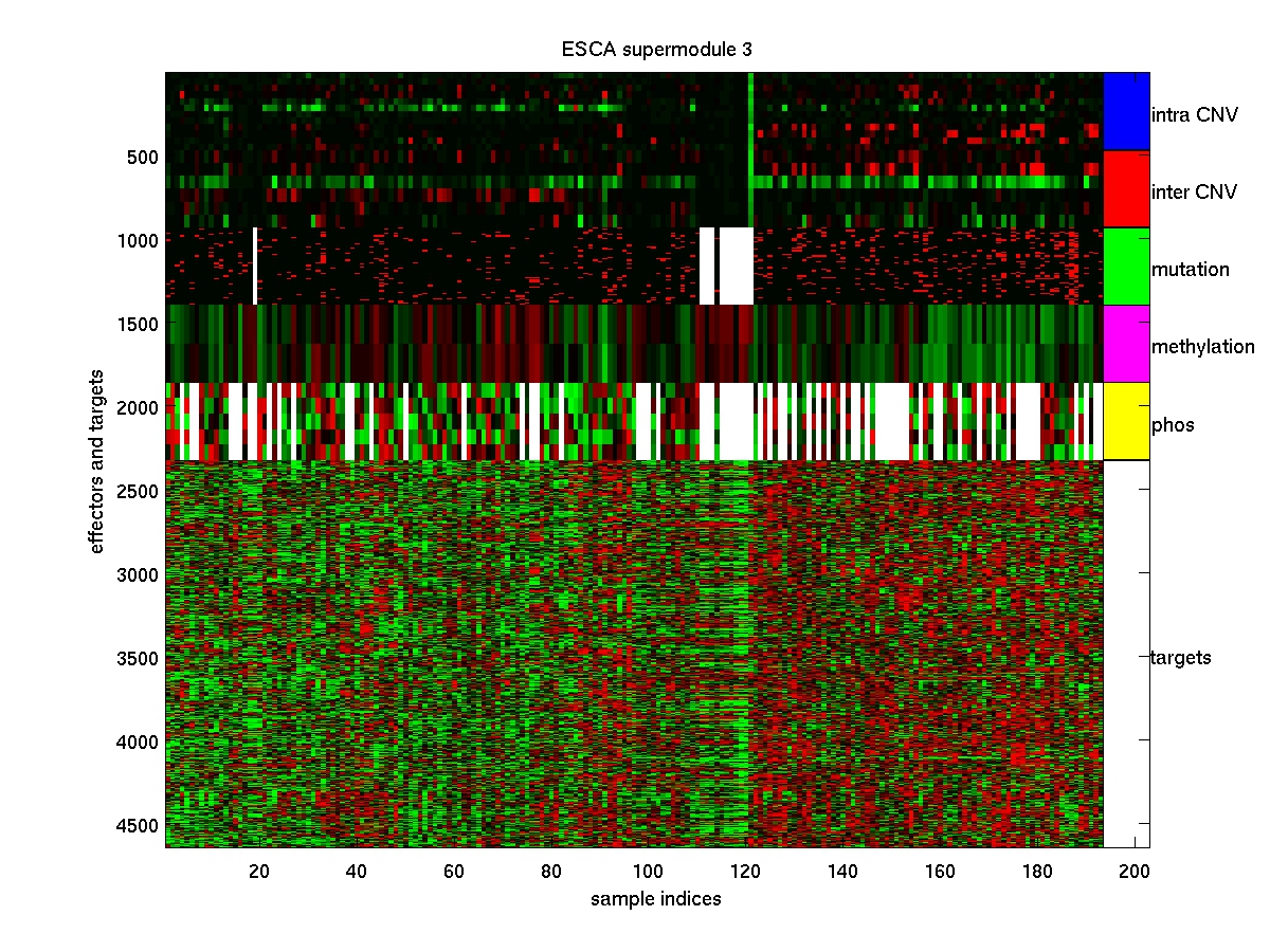 ESCA